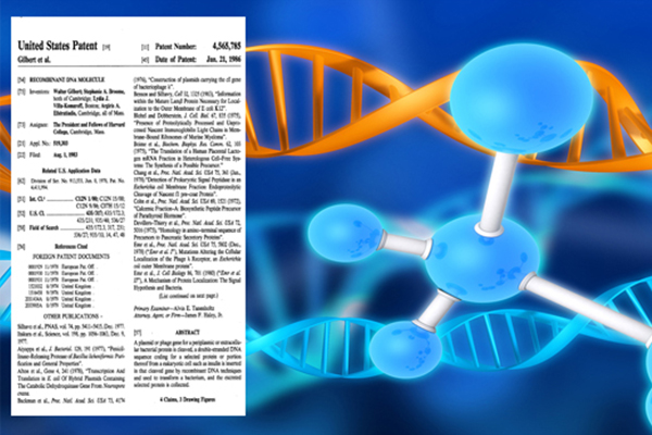 لیڈیا ولا کوماروف